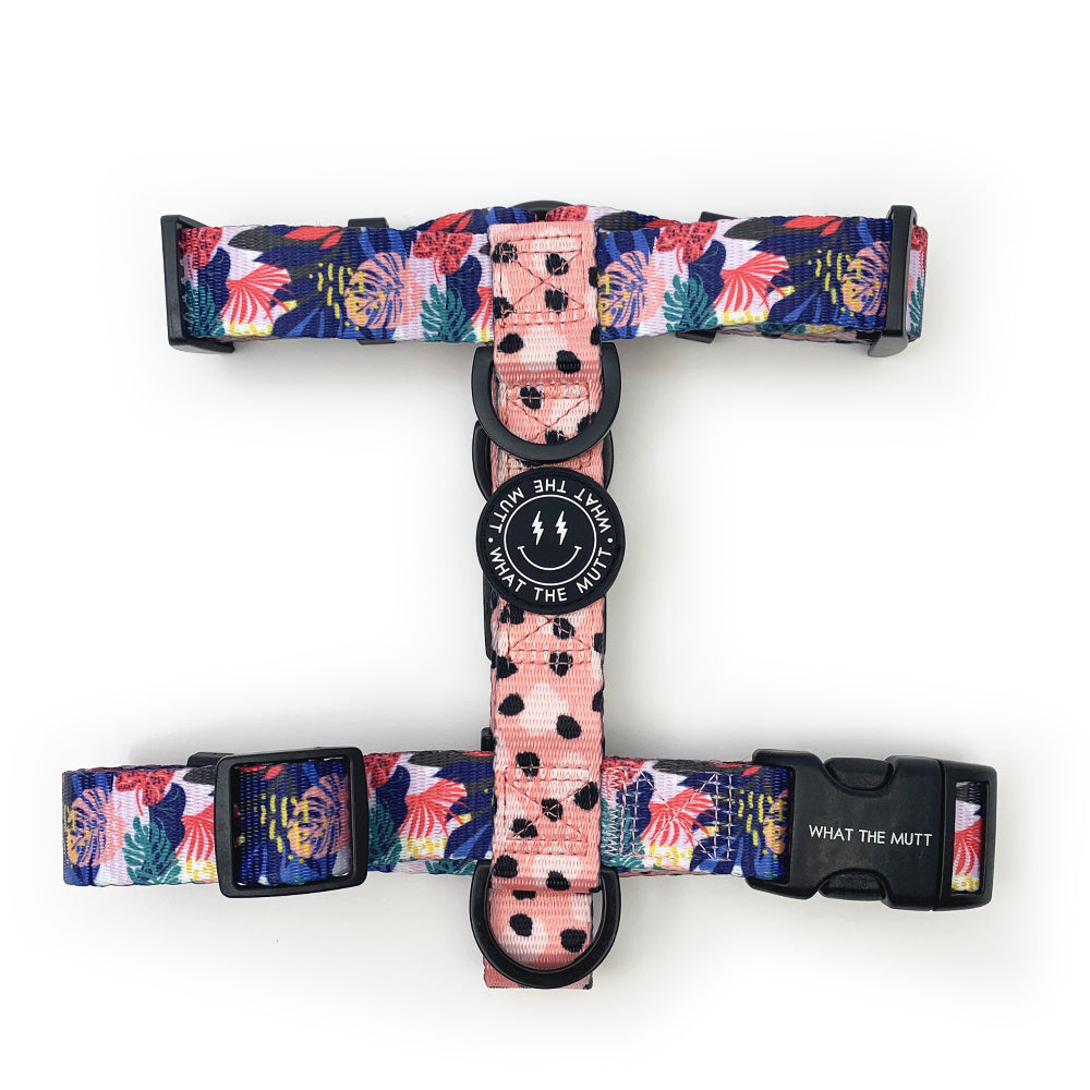 Strap Harness – Forest Trail